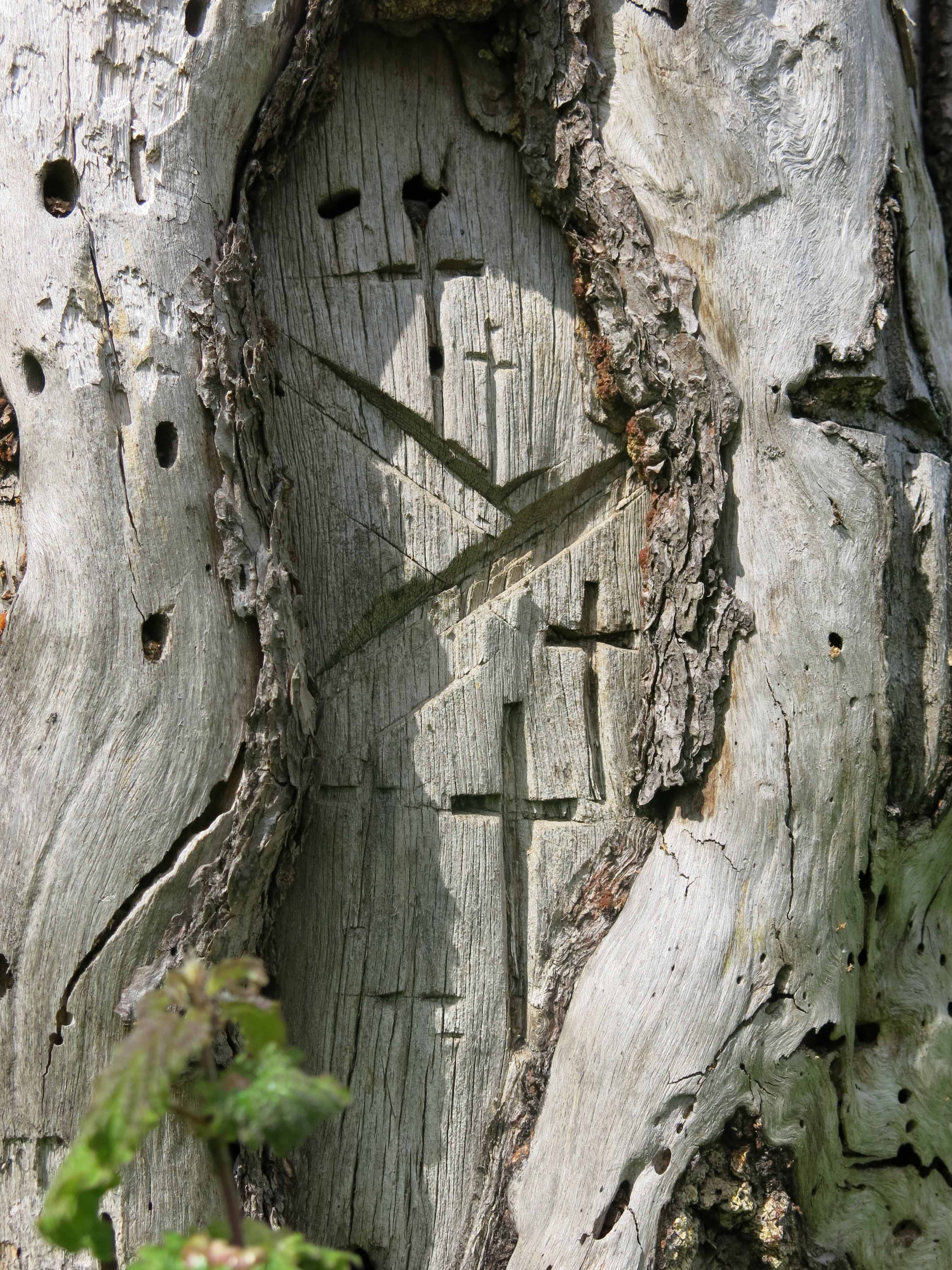 крестное дерево
