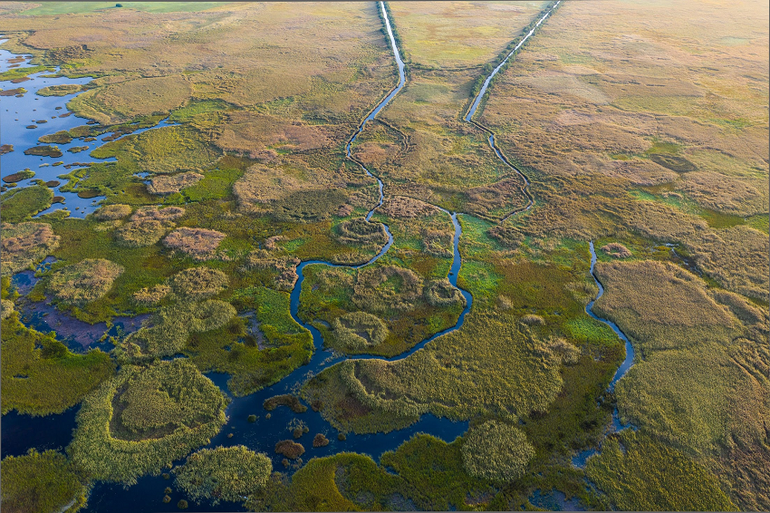 Rannamõisa ja Rõude jõgi suubuvad roostikus Matsalu lahte. Autor Kaarel Kaisel.