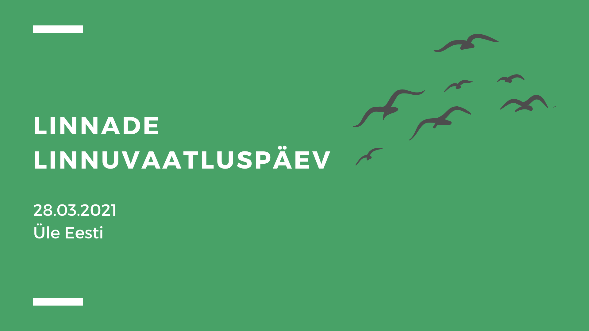 Linnade linnuvaatluspäev. Eesti Ornitoloogiaühing