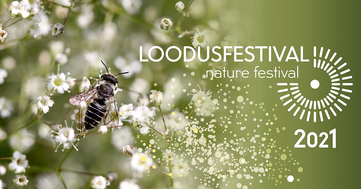 Loodusfestivali plakat