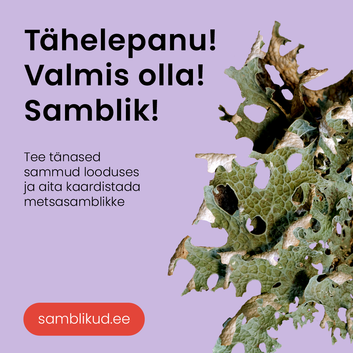Inimesed on teinud juba üle 100 samblikuvaatluse