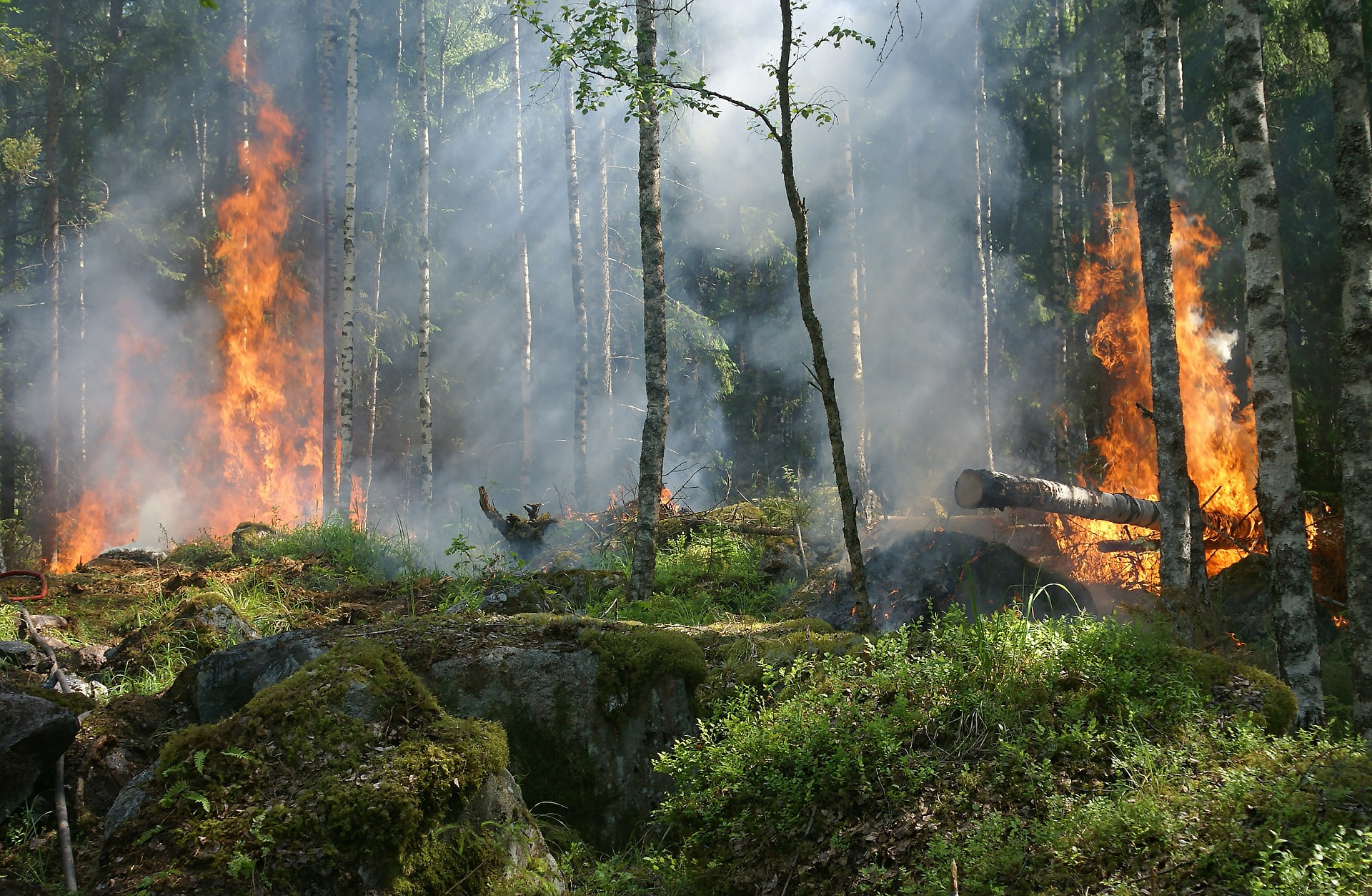 Päästeamet on kehtestanud osades maakondades tuleohtliku aja