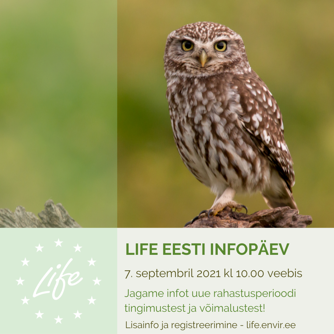 LIFE infopäev