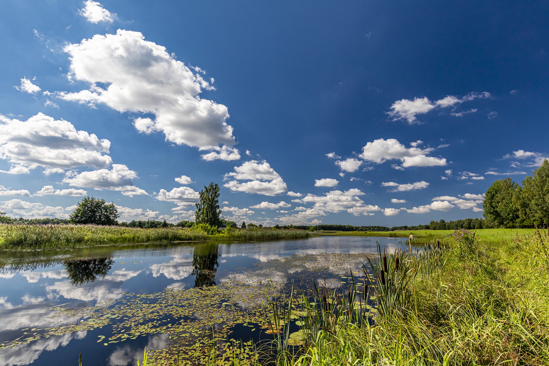 Jõgi