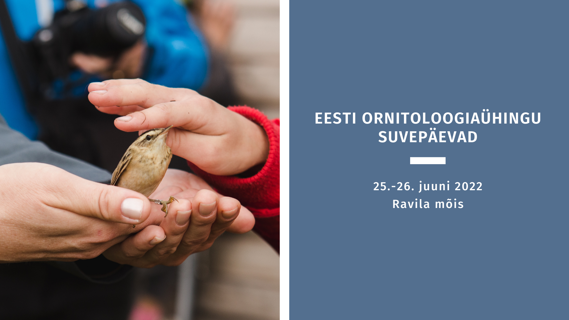Eesti Ornitoloogiaühingu suvepäevade plakat, fotol lind peopesas