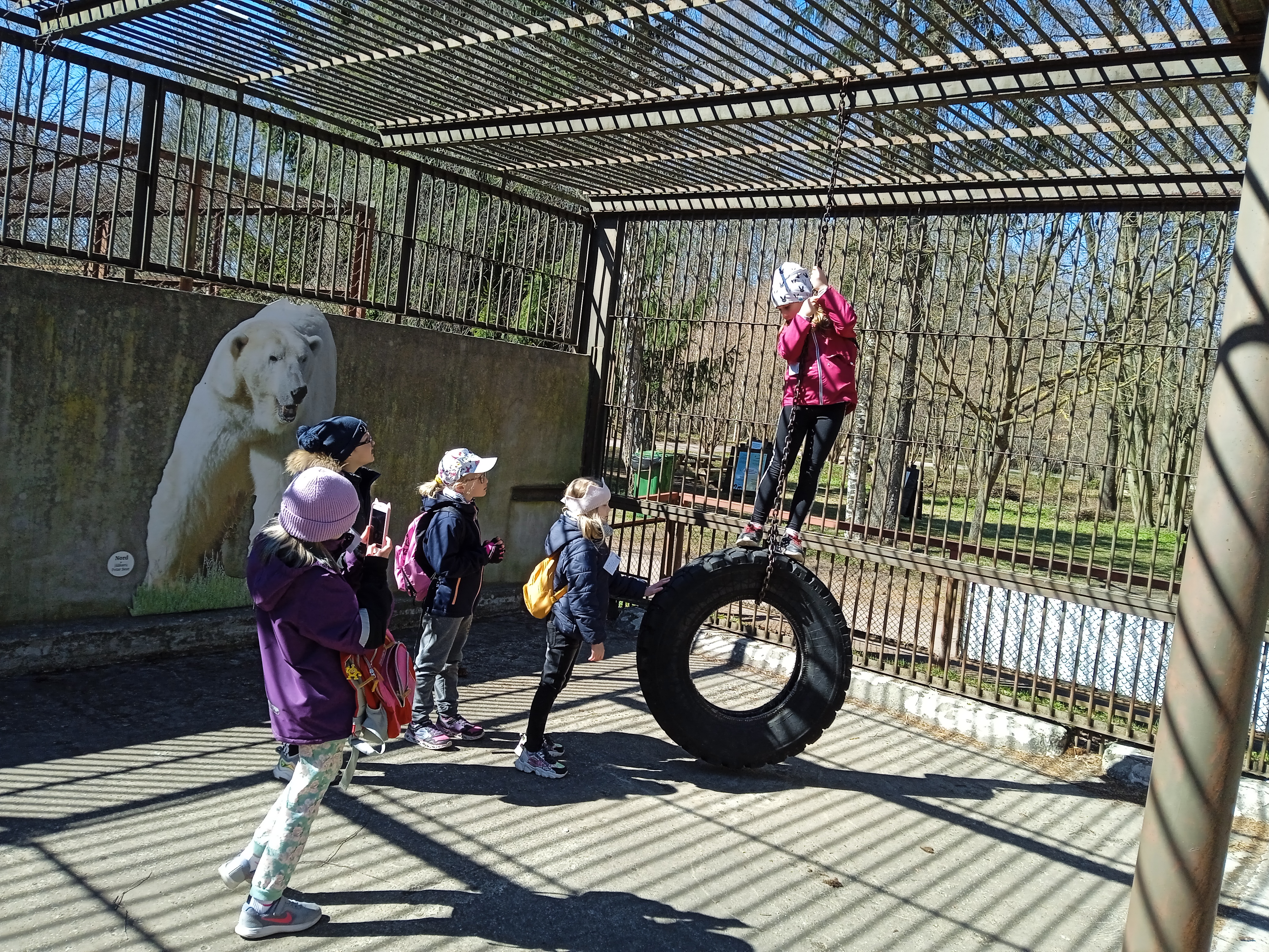 Viis last Tallinna loomaaias laagris, neist üks seisab rippuval rehvil; seinal foto jääkarust