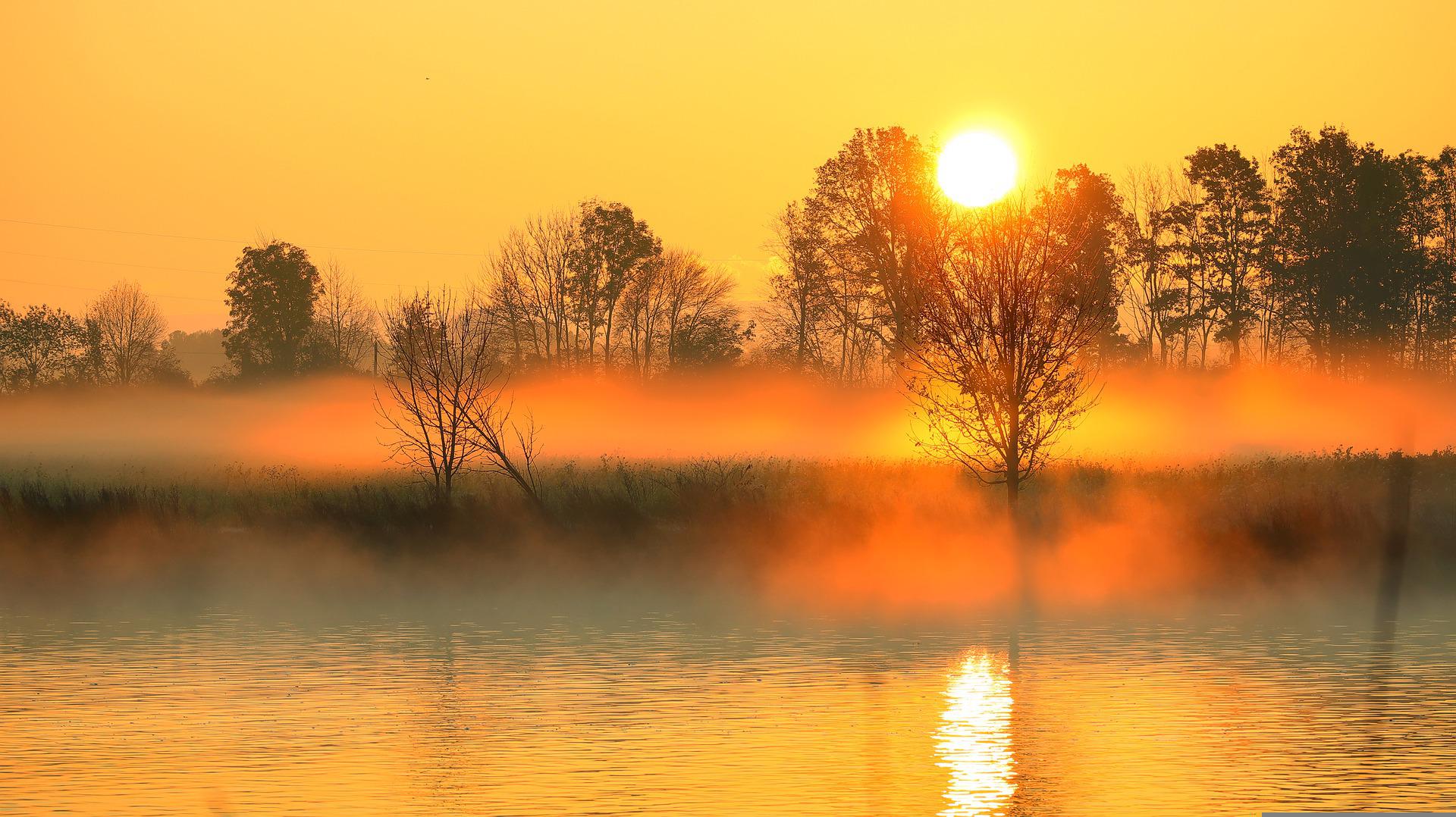 Päikesetõus järvel, taamal udu ja järveäärsed puud