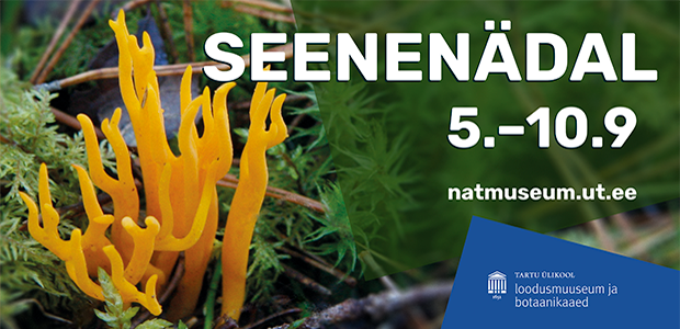 Seenenädala plakat. Foto: Külli Kalamees-Pani.