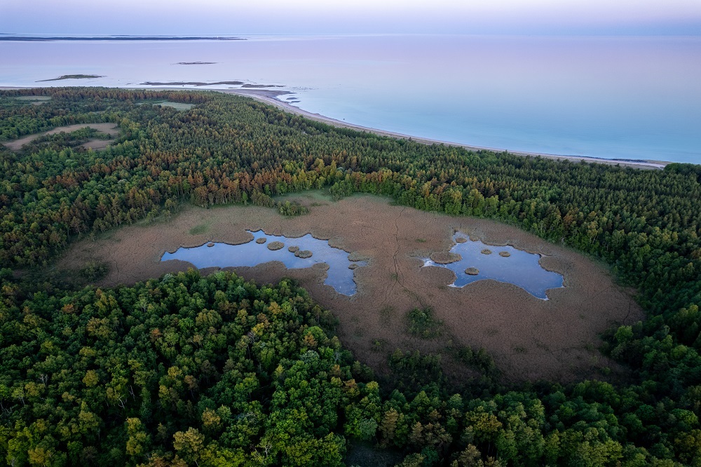 Lääne-Eesti on väga mosaiikse maastikuga. Foto: Maris Sepp