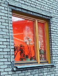KARDIN AITAB. Erksamavärvilise kardina või rulooga kaetud aknasse lind ei lenda. Foto autor. Margo Pajuste