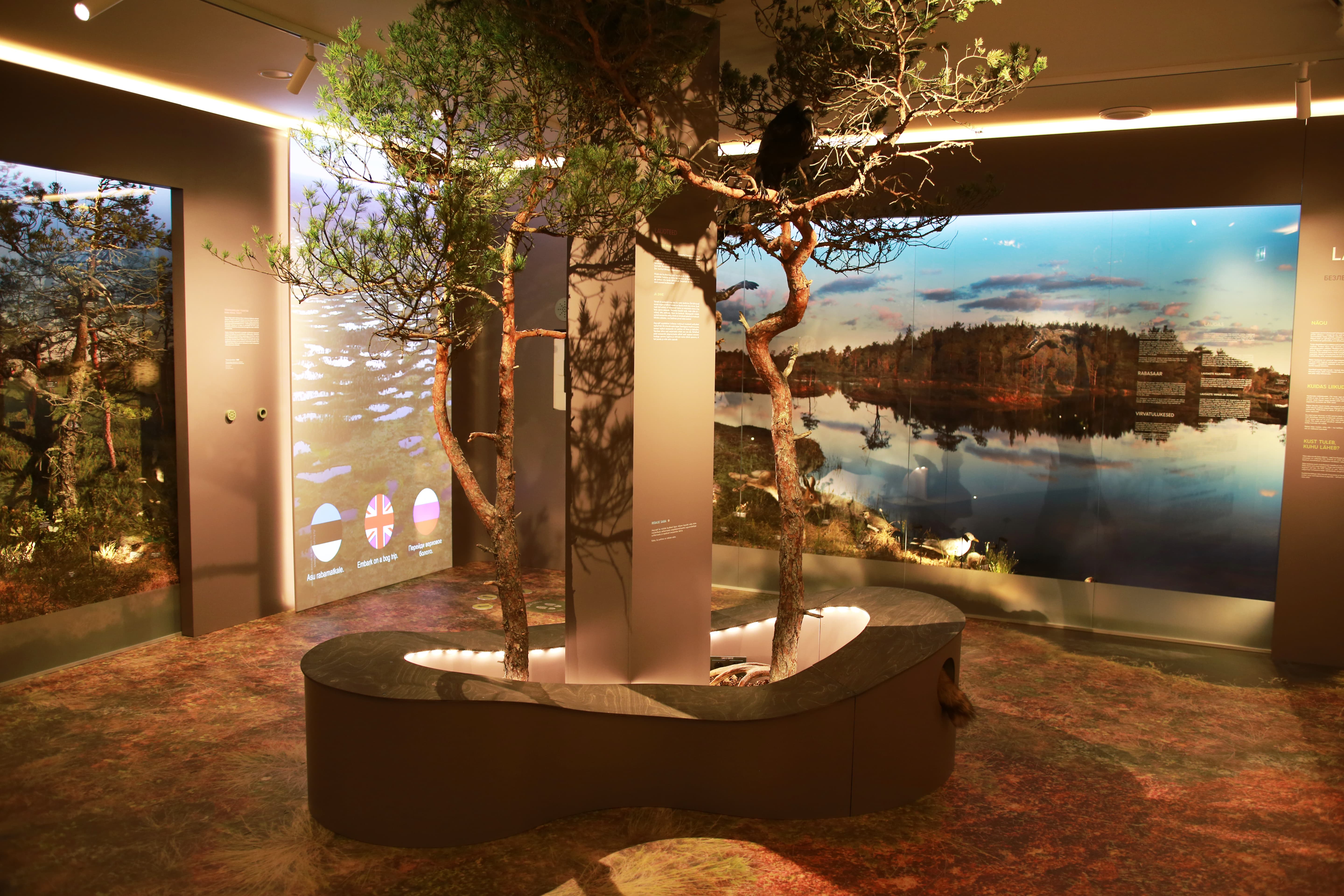 Loodusmuuseum