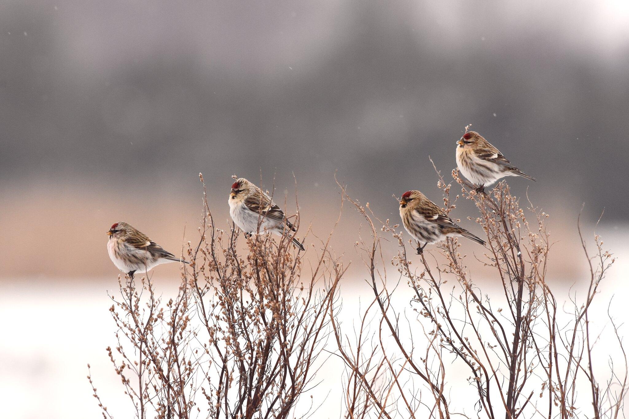 Фото: Аллар Лийв