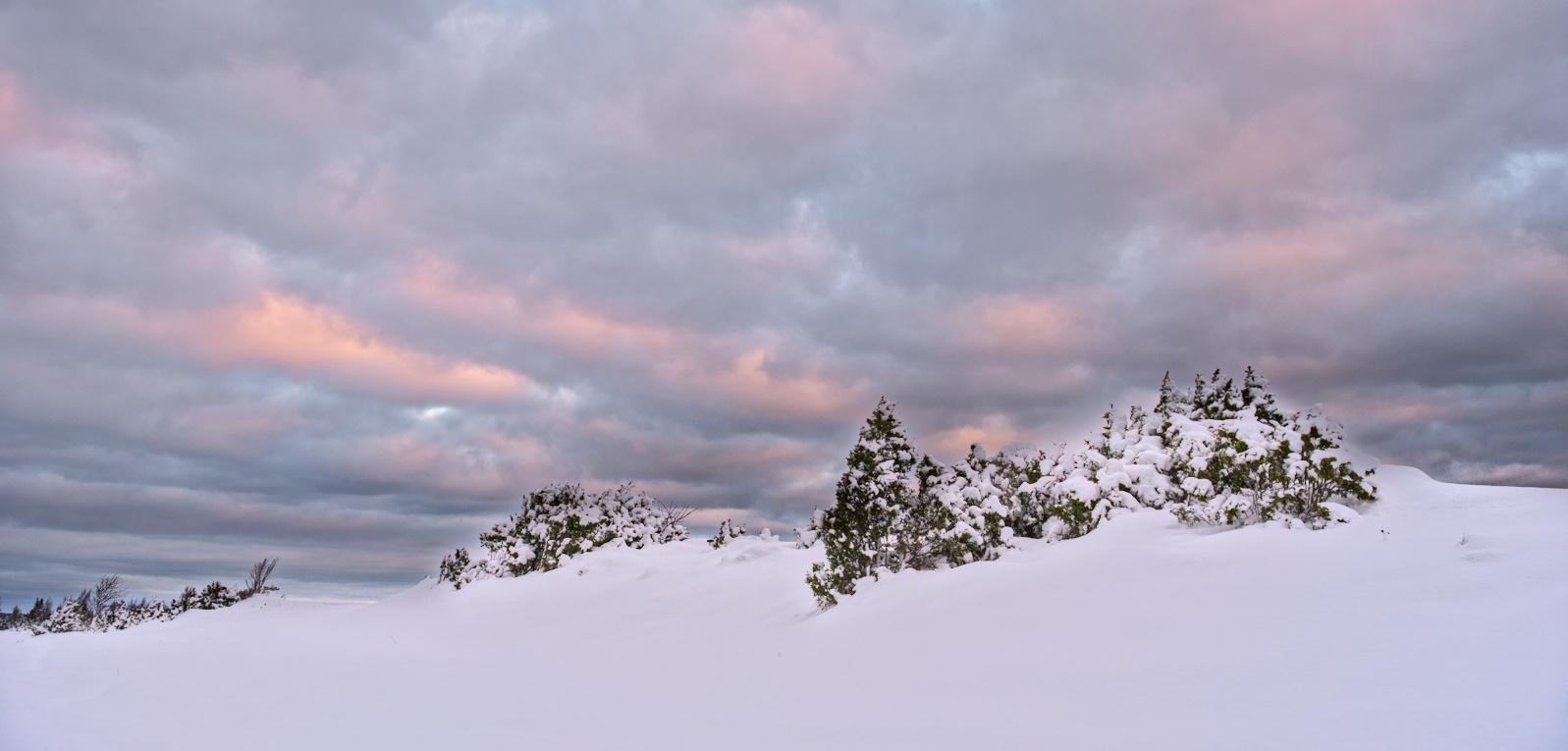 Фото: Аллар Лийв