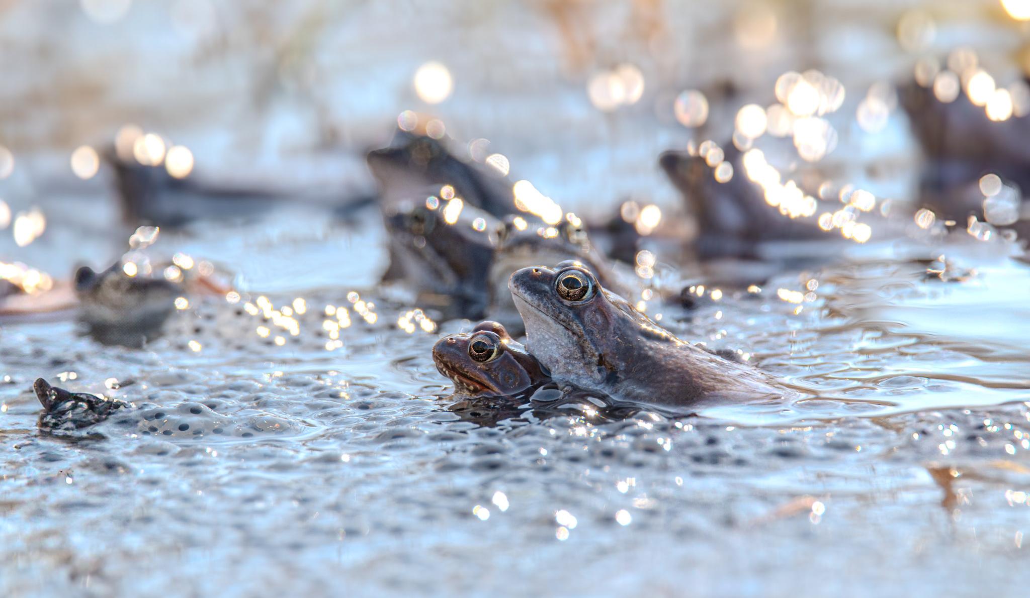 Фото: Марис Сепп